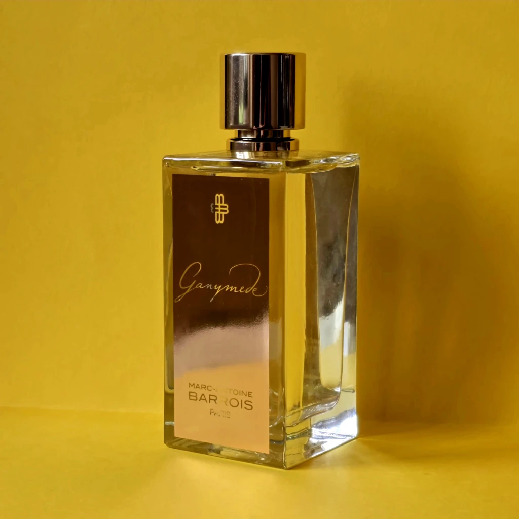 Marc-Antoine Barrois Ganymede EDP